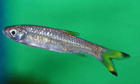 4月份釣魚遠還是釣近