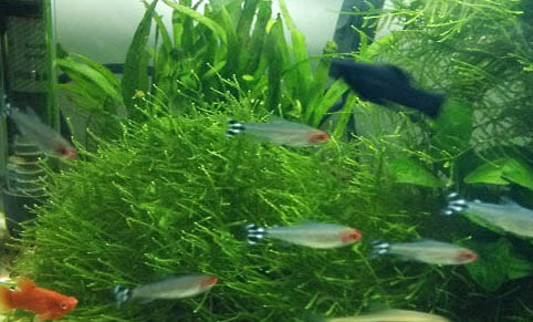 秋季釣魚氣壓多少適合釣魚