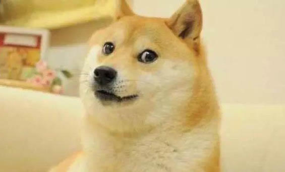 柴犬和秋田犬哪個貴