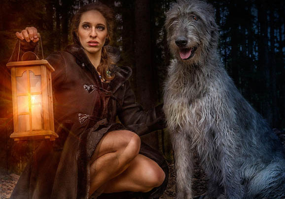 蘇俄獵狼犬吃多了拉稀怎么辦