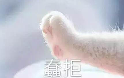 如何判斷小貓冷不冷了