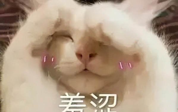 母貓乳房硬塊怎么緩解?