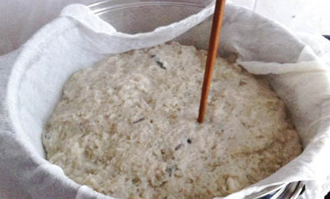 自制貓飯如何保存