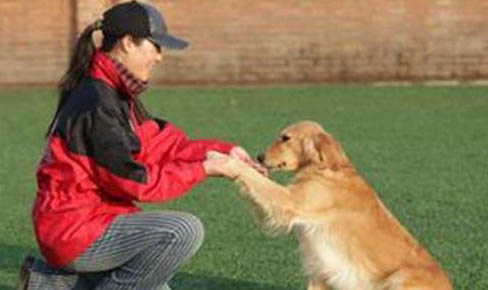 狗狗淚痕重可以用淡鹽水擦嗎有用嗎