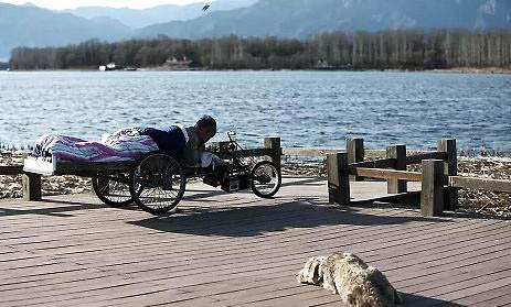 狗狗的肛門腺位置在哪