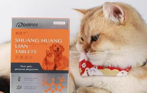 為什么貓咪會搓后腳腳