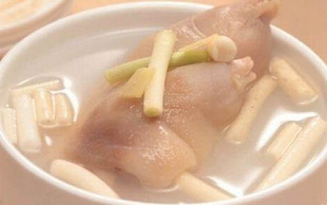 小狗能不能吃檸檬