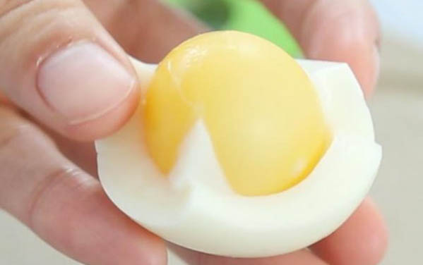 成年柯基多久洗一次澡啊