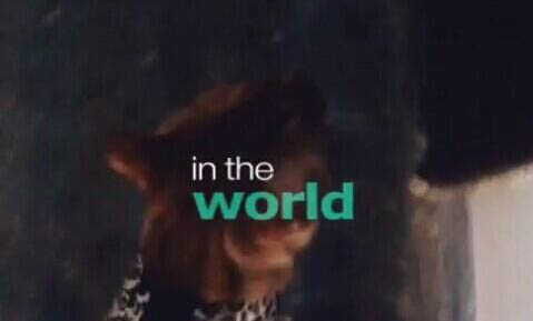 遛貓需要牽引繩嗎