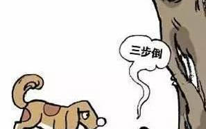 狗狗都有哪些品種