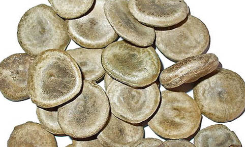 長期兩種貓糧混著吃可以嗎