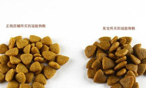 關于狗狗喝水