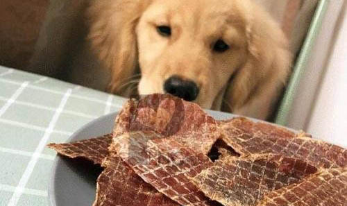 狗狗可以吃面包么?