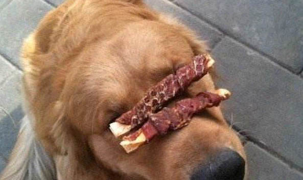 狗狗一直流口水是怎么了