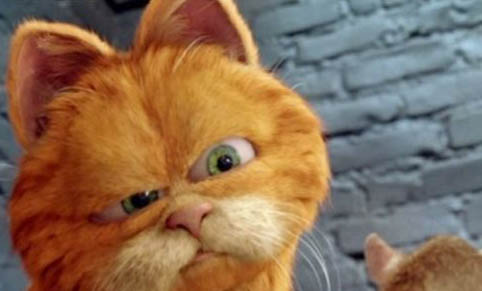 養哪種貓比較好