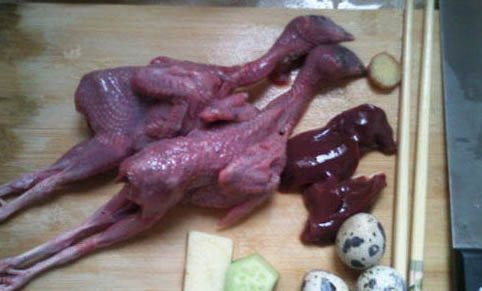 自制貓飯如何保存