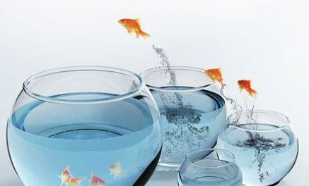 治療魚掉鱗的方法