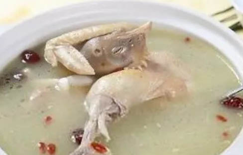 自制狗糧如何保鮮