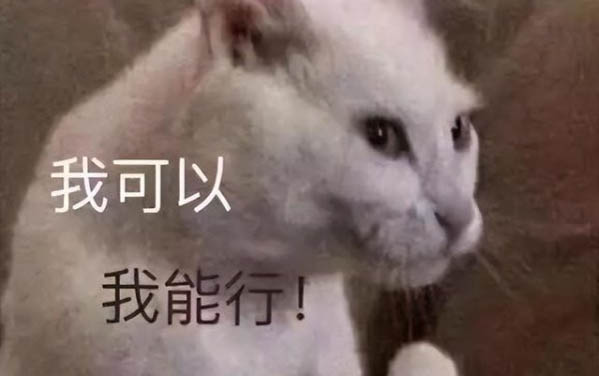 小貓多久可以離開母貓呢？