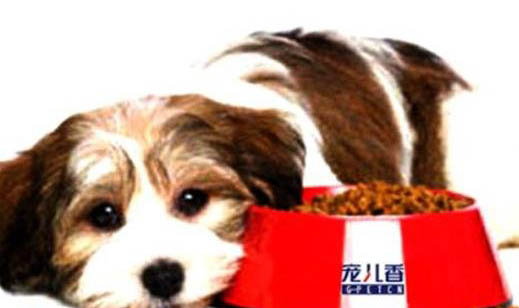 狗狗打完八聯不良反應