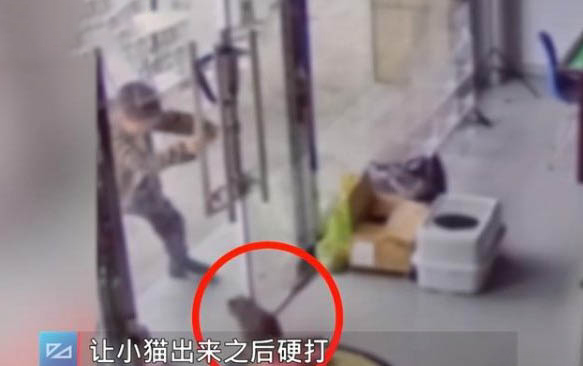 請問貓咪嘔吐的原因及處理方法？