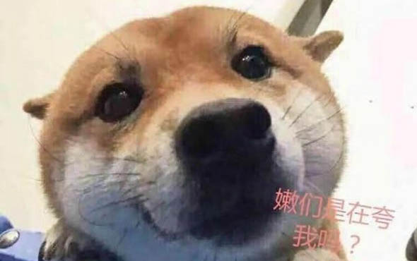 狗怎么樣判斷有眼線蟲呢