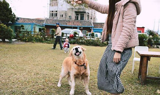 狗狗可以吃煮熟的蝦仁嗎