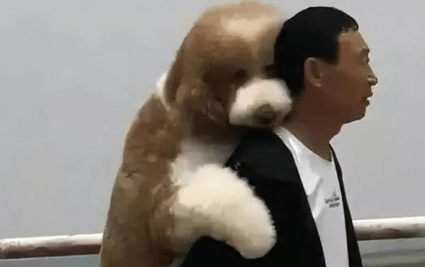 小狗狗為什么干嘔呢