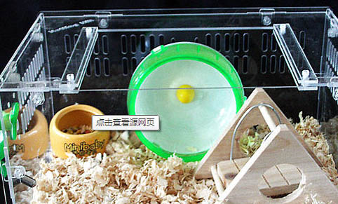 倉鼠們合籠會怎么樣啊