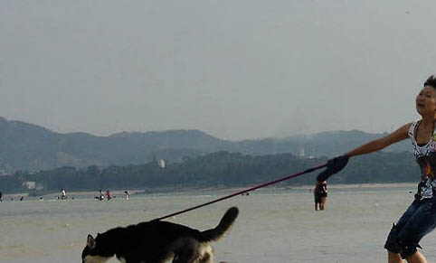 一天遛狗多久比較合適