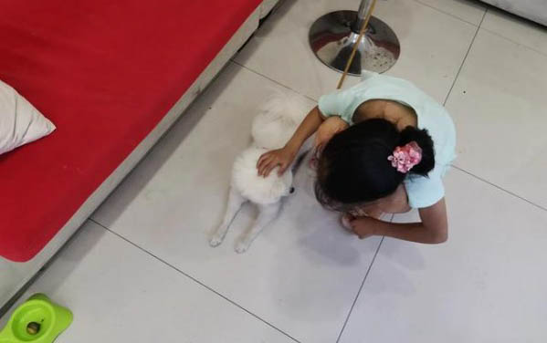 如何給愛犬挑選狗糧