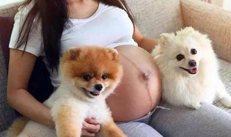 狗狗感冒的癥狀有哪些？