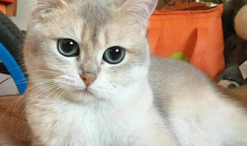 銀漸層怎么看品相好不好