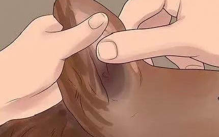 狗狗喜歡粘人的原因