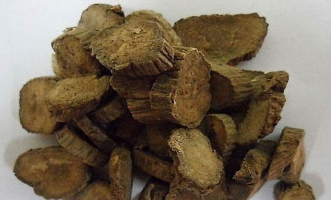 貓咪食欲不振怎么辦