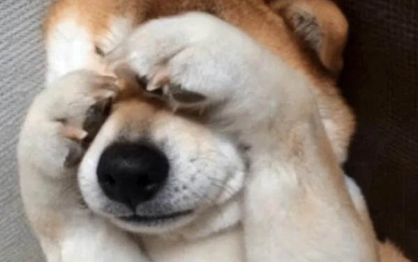 狗狗喉嚨長了一顆圓圓的腫瘤