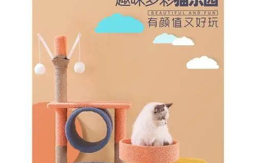 貓?jiān)诒蛔由夏蛟趺崔k