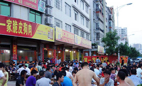怎么分辨狗狗淚管堵塞