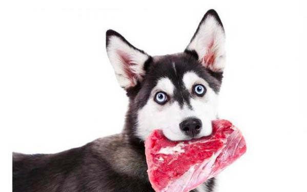 狗狗洗澡眼睛紅怎么辦
