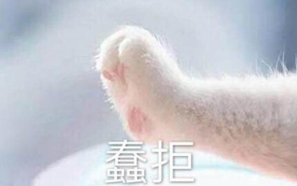 小貓老打噴嚏但精神很好是什么原因啊?