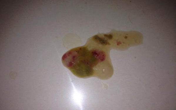 狗狗感冒消炎藥有哪些