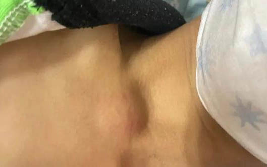 狗狗為何喜歡吃紙