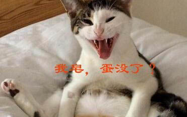 狗狗吐清水有線蟲